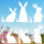 younikat Hasen weiß Frühling Fensterbild 12 Teile I statisch haftend I wiederverwendbar I Ostern I you_0036
