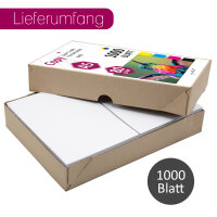 1000 Blatt blanko 80 g/m² Papier in weiß I Kopierpapier I DIN A5 I dv_1419