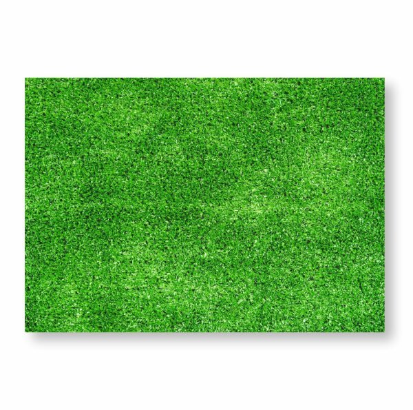 100 Papier-Tischsets Rasen I dv331 I DIN A3 I Platzsets Platzdecken Tisch-Unterlage aus Papier modern Einweg Natur Fußball Fan-Artikel