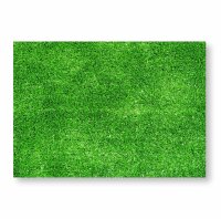 100 Papier-Tischsets Rasen I dv331 I DIN A3 I Platzsets...