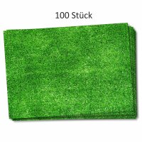 100 Papier-Tischsets Rasen I dv331 I DIN A3 I Platzsets Platzdecken Tisch-Unterlage aus Papier modern Einweg Natur Fußball Fan-Artikel