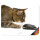 younikat Mauspad Katzen I 24 x 19 cm I Mousepad in Standard-Größe rutschfest I dv397
