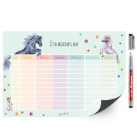 Stundenplan Pferd und Pony I abwischbar I mit magnetischer Rückseite in Pastell-Farben I DIN A4 I zum Schulanfang I für Mädchen I magnetisch wiederbeschreibbar I dv977