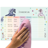 Stundenplan Pferd und Pony I abwischbar I mit magnetischer Rückseite in Pastell-Farben I DIN A4 I zum Schulanfang I für Mädchen I magnetisch wiederbeschreibbar I dv977