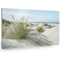 Premium Dünen Wandbilder