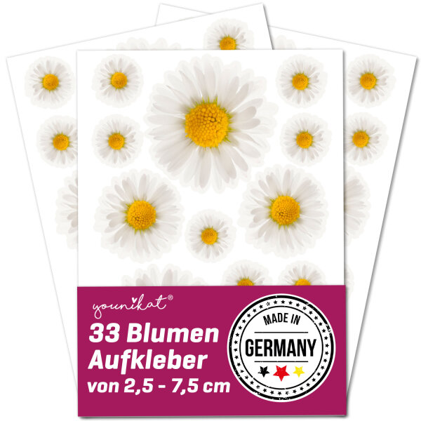 Gänseblume