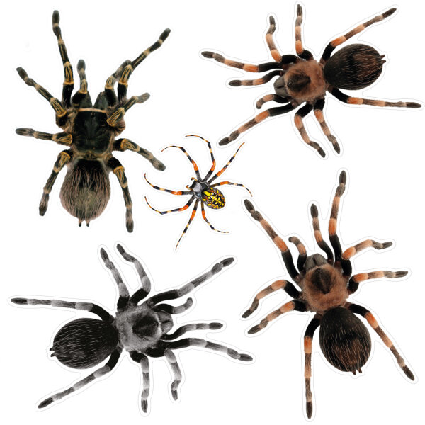 5x Spinnen klein